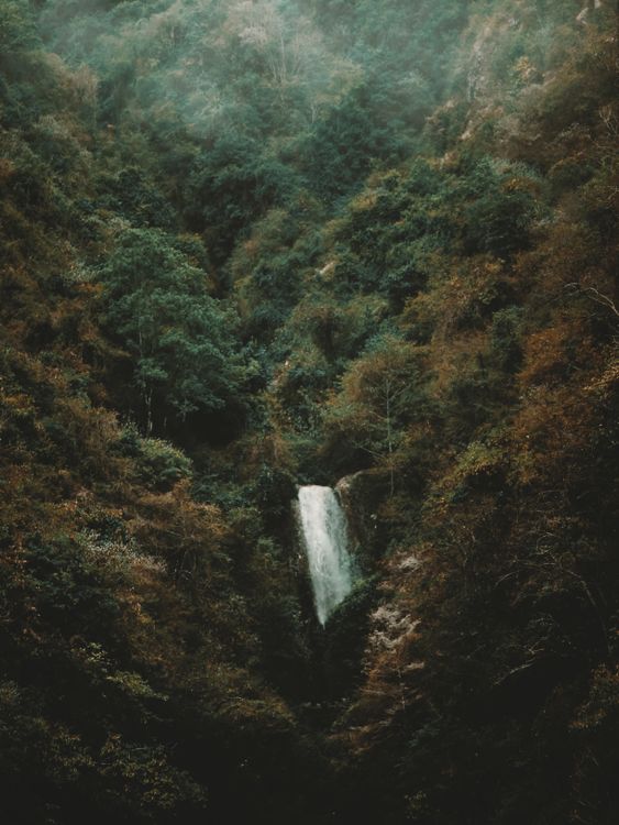 Lush green hills and valleys in Matheran during the monsoon season
