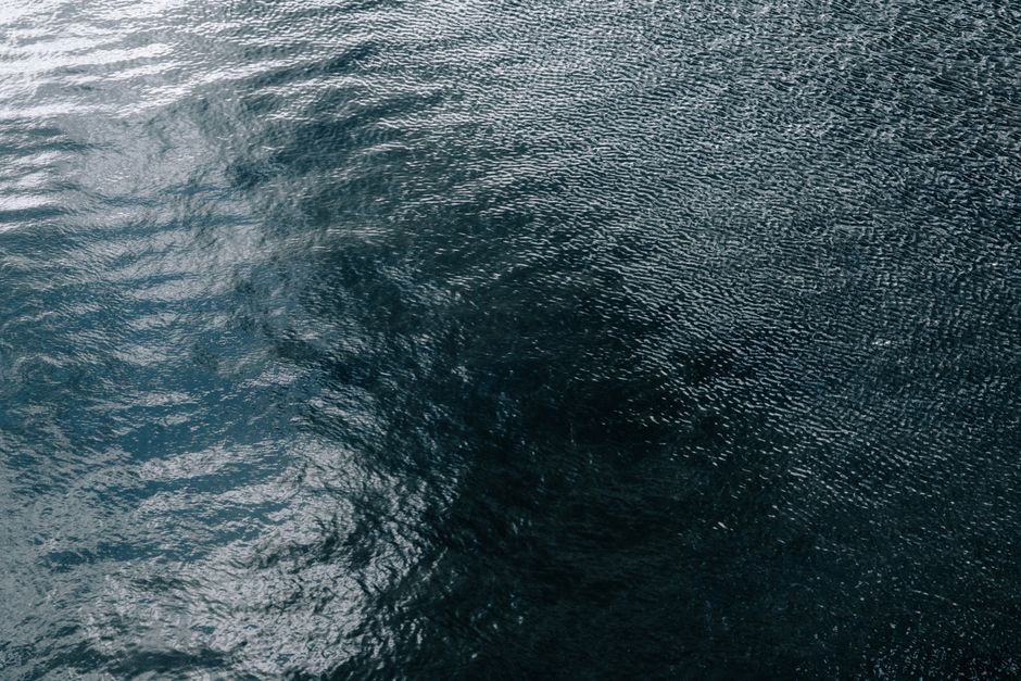 circle|ripple effect in water