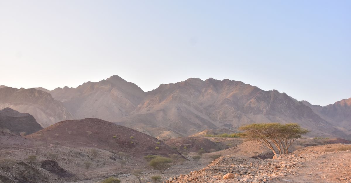 Hatta Dağ Günü — Kayak + Wadi Hub