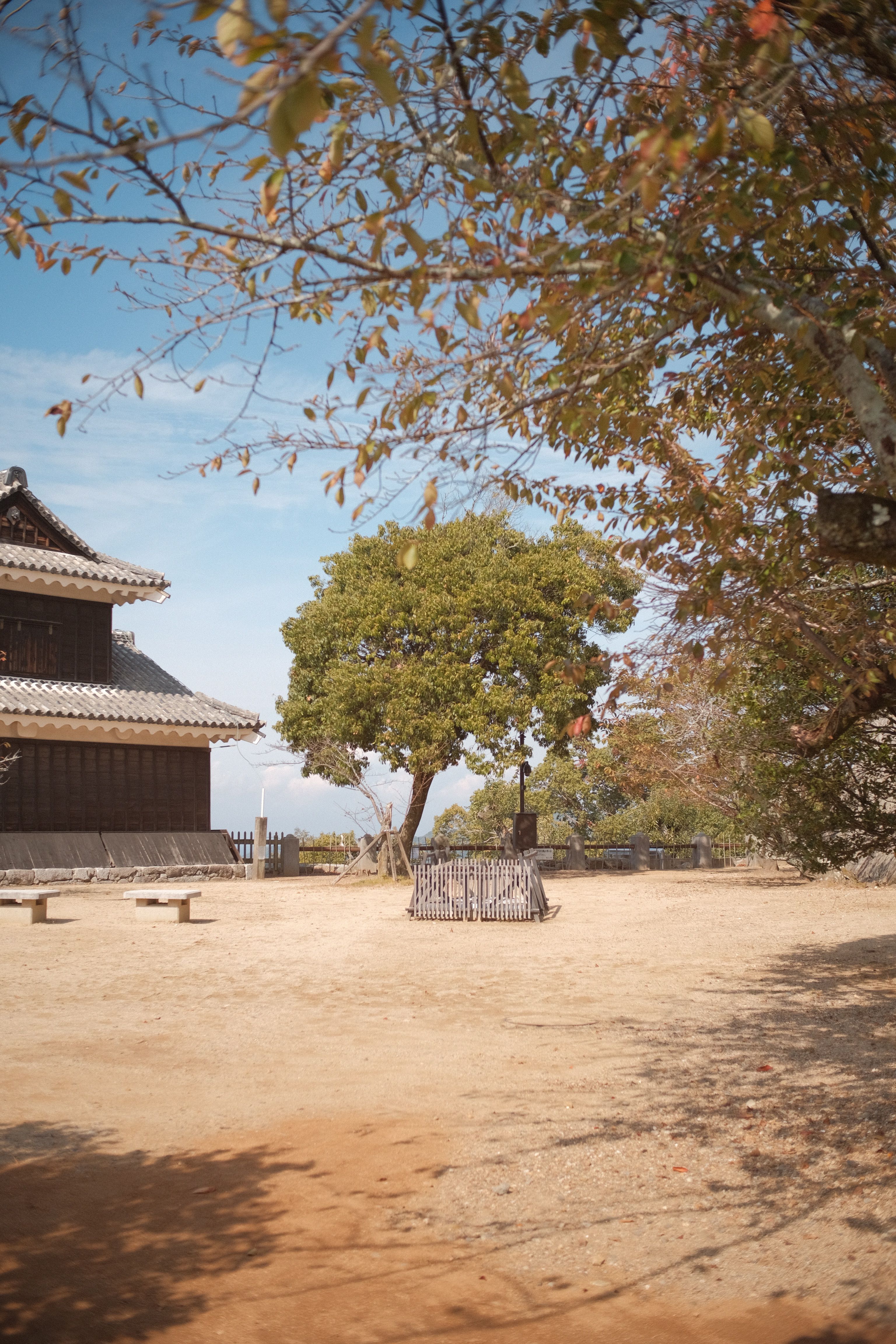 Peaceful scene of Asian architecture and trees in a serene garden setting under a bright sky.