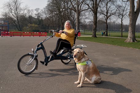 Elderly woman with guide dog on an adaptive bicycle in the park.