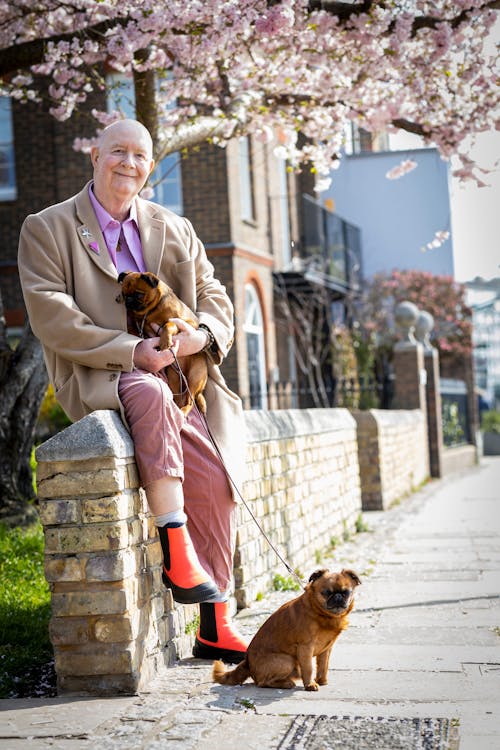 Elderly Man Sitting Under Cherry Blossom Tree and Holding His Pugs