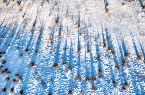 Free Brown Grass on Snow Covered Ground Stock Photo
