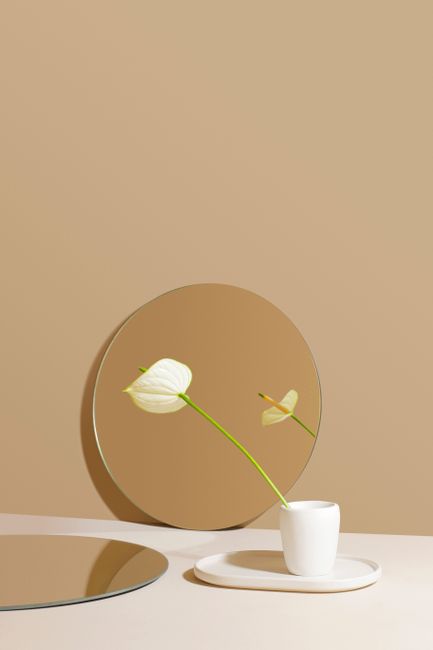Minimalist anthurium flower reflected in a round mirror creating a simple, elegant composition.