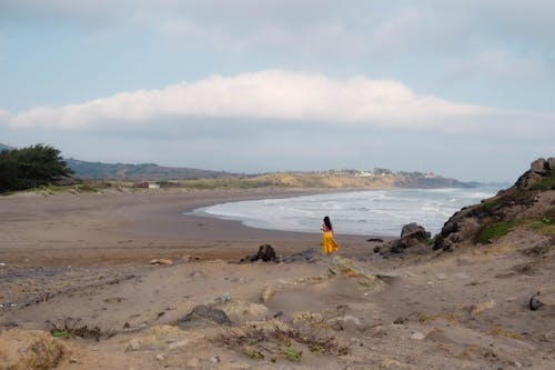Fotobanka s bezplatnými fotkami na tému chôdza, kývať, morský breh