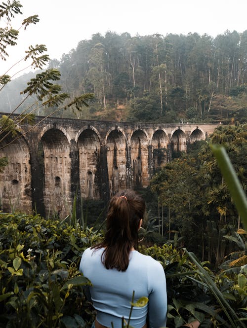 Free Woman Standing and Looking at Nine Arches Bridge in Sri Lanka Stock Photo