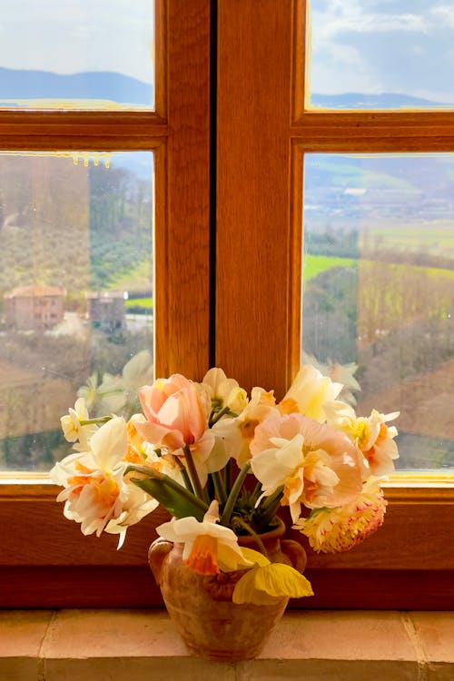 Gratis Fotos de stock gratuitas de alféizar de la ventana, arboles, artículos de cristal Foto de stock