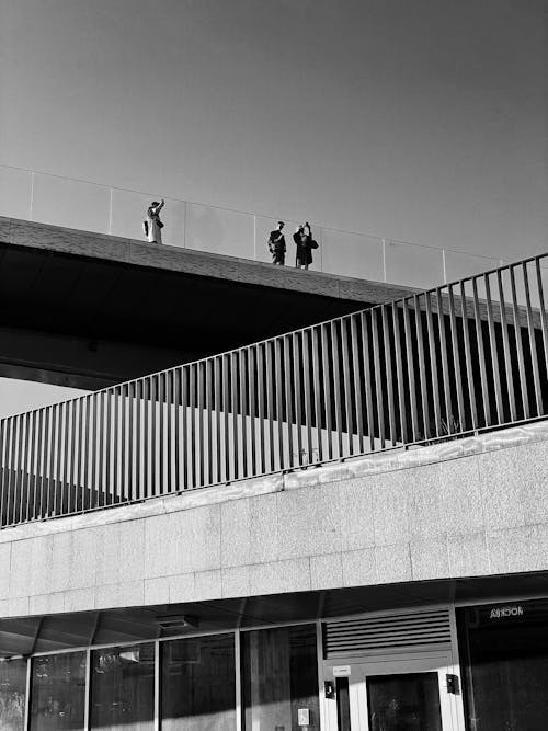 Grayscale Photography of People Standing on a Bridge with Glass Railings