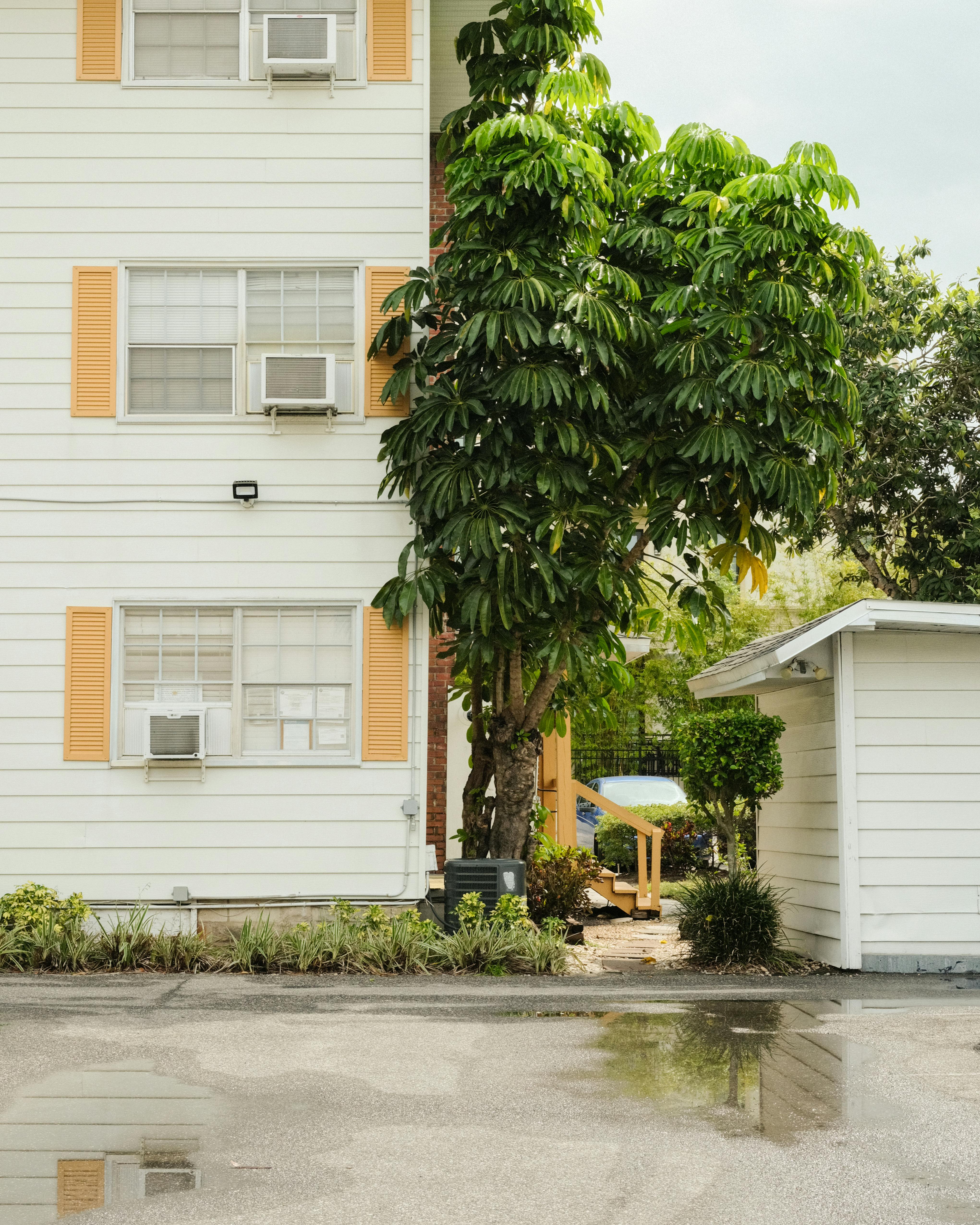 Exterior view of suburban apartment building with a tree, reflecting on wet pavement.
