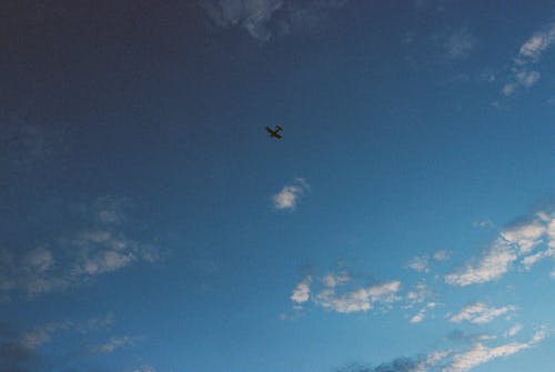 Airplane in Mid Air Under Blue Sky