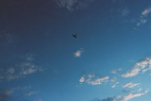 Free A small airplane flying high among clouds in a vast, clear blue sky. Stock Photo