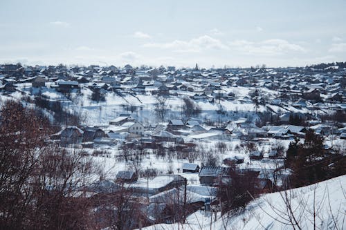 Бесплатное стоковое фото с голубое небо, деревья, дома