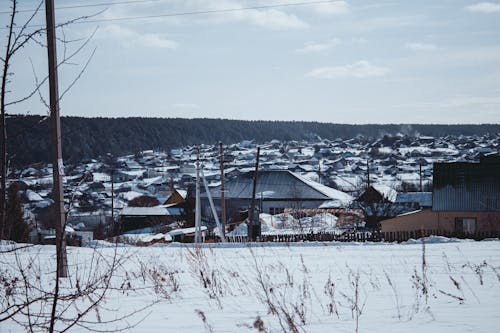 Бесплатное стоковое фото с голубое небо, деревья, дома