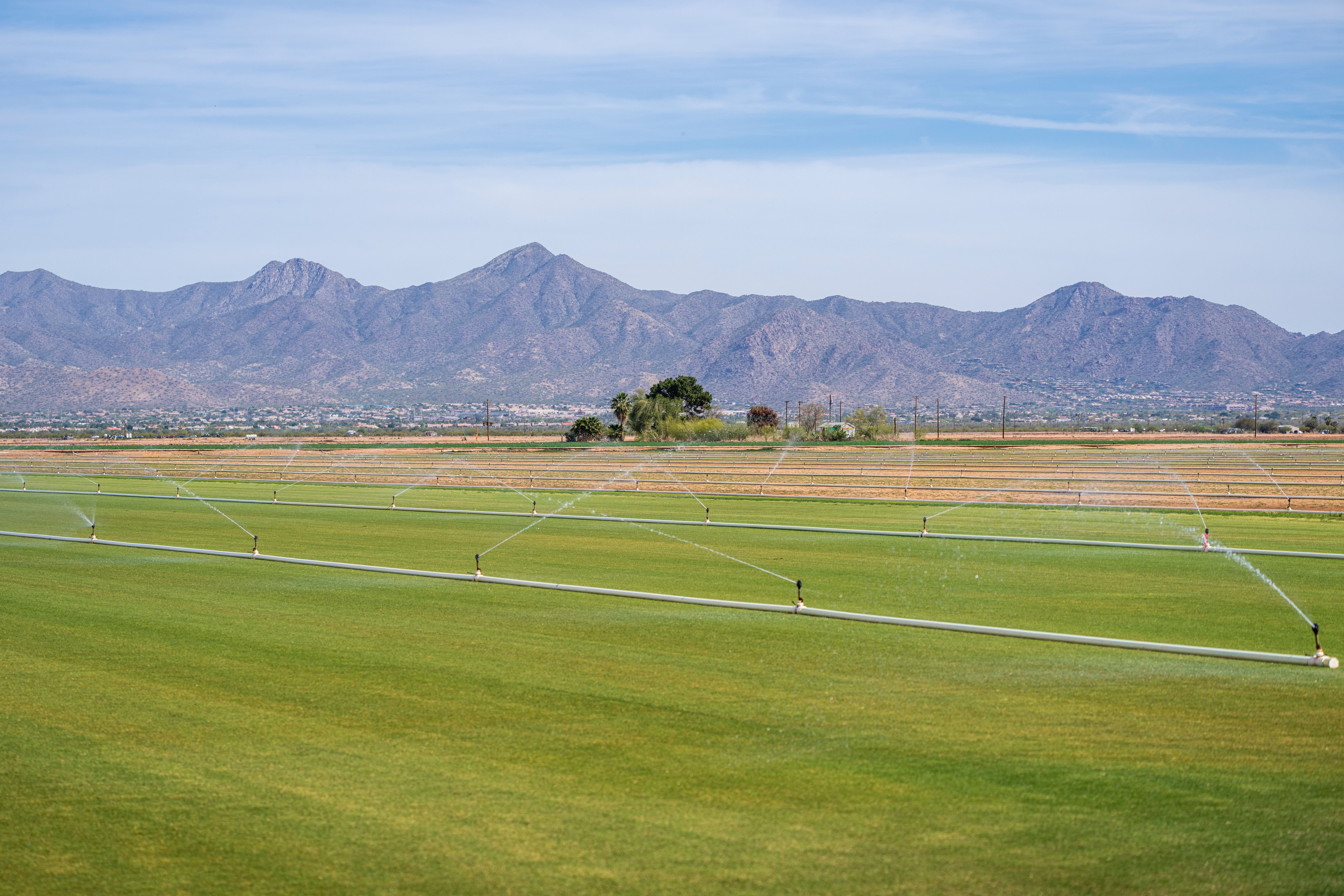 Healthy green grass from proper irrigation