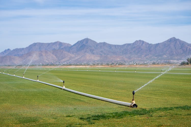 An Irrigation On Farm Field