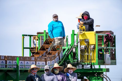 Photos gratuites de boîtes, chapeau, chapeau de paille