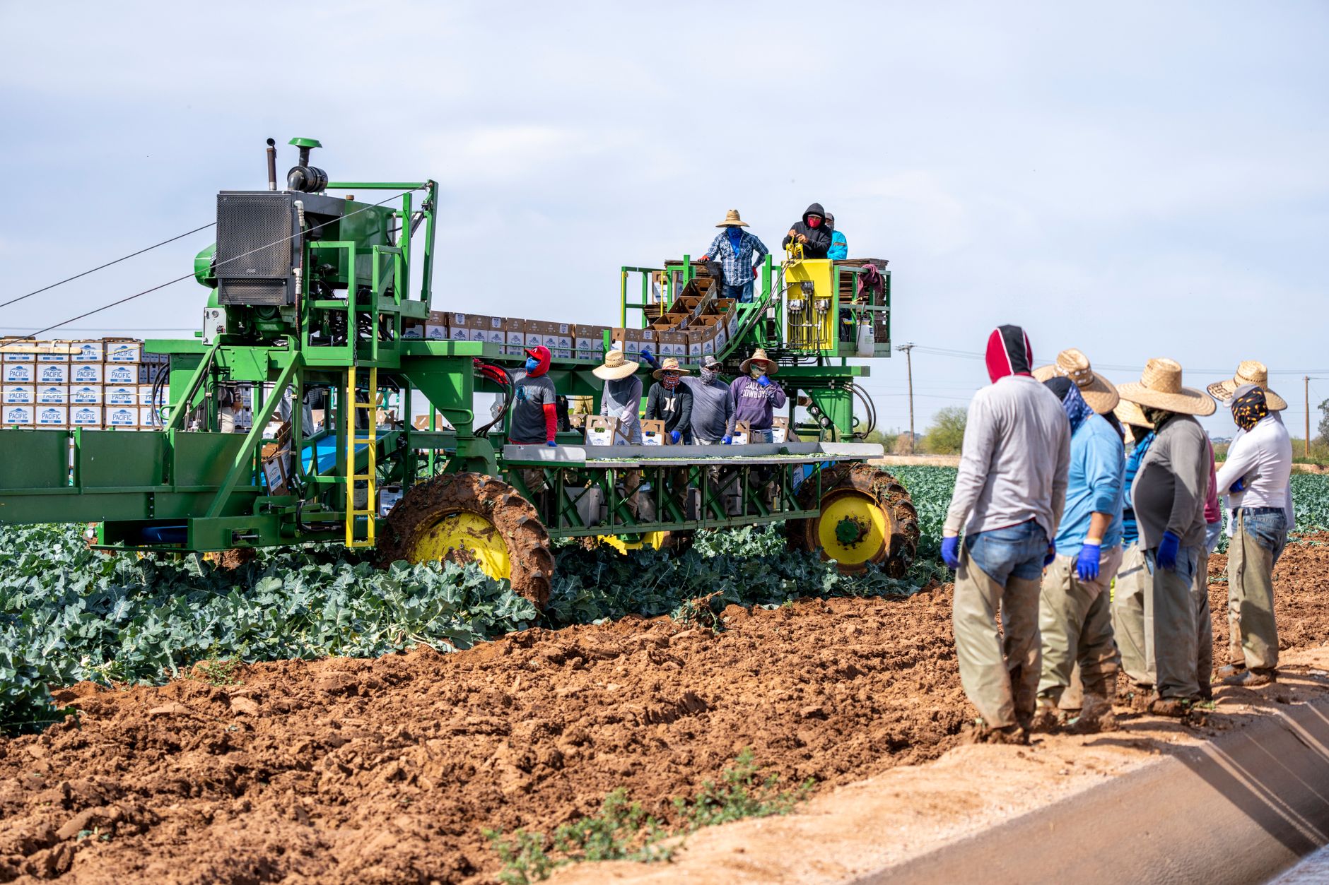 Travailleurs agro-industriels en formation au Nord Madagascar