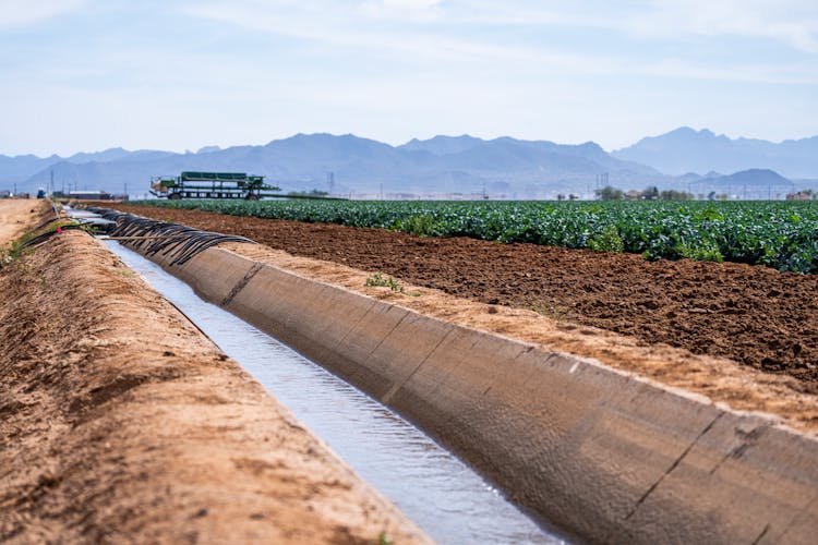 Irrigation Canal Near Field