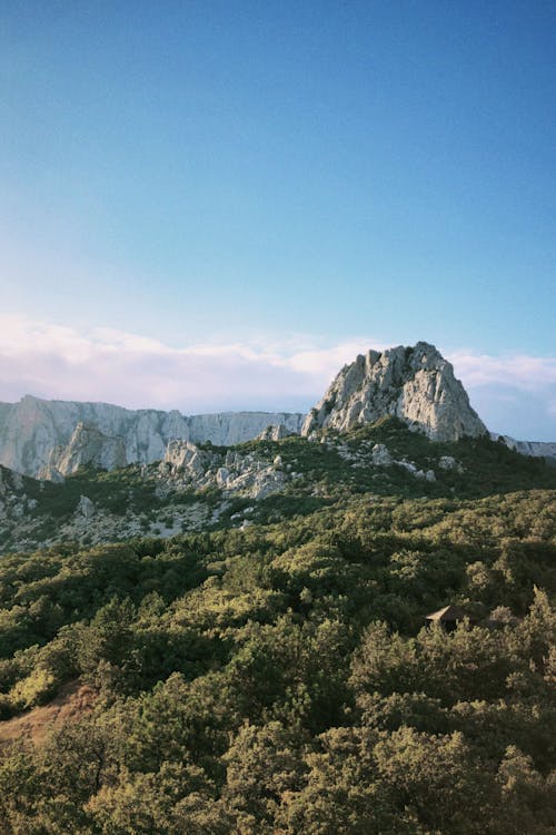 Fotos de stock gratuitas de bosque, cielo azul, fondo de pantalla para el móvil