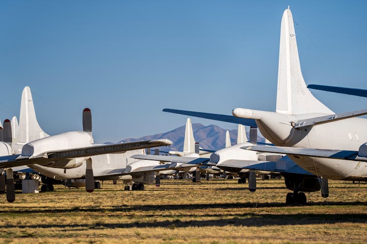 Parked Navy Planes