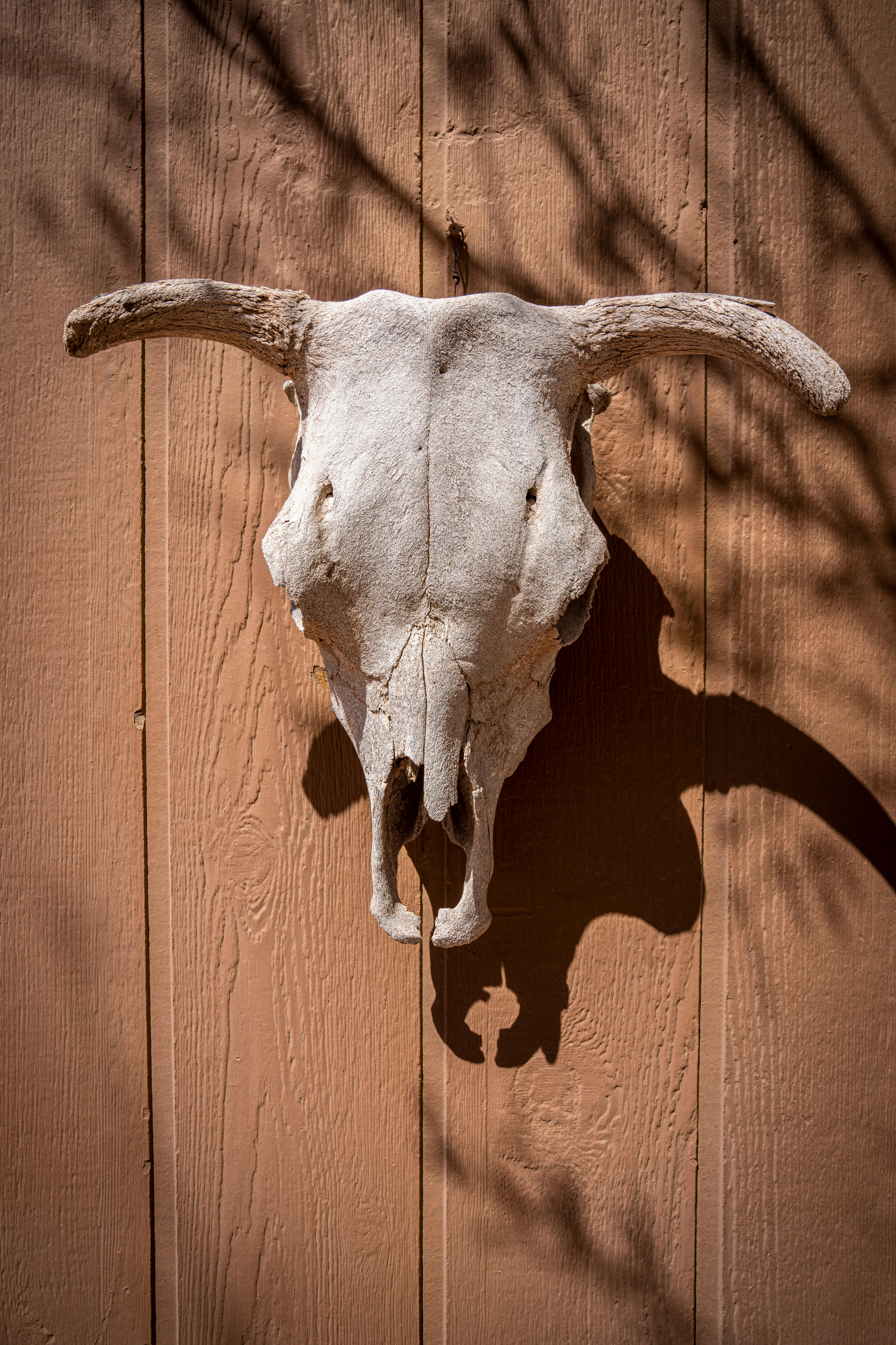 grátis Foto profissional grátis de acessório doméstico, Antiguidade, arte de parede Foto profissional