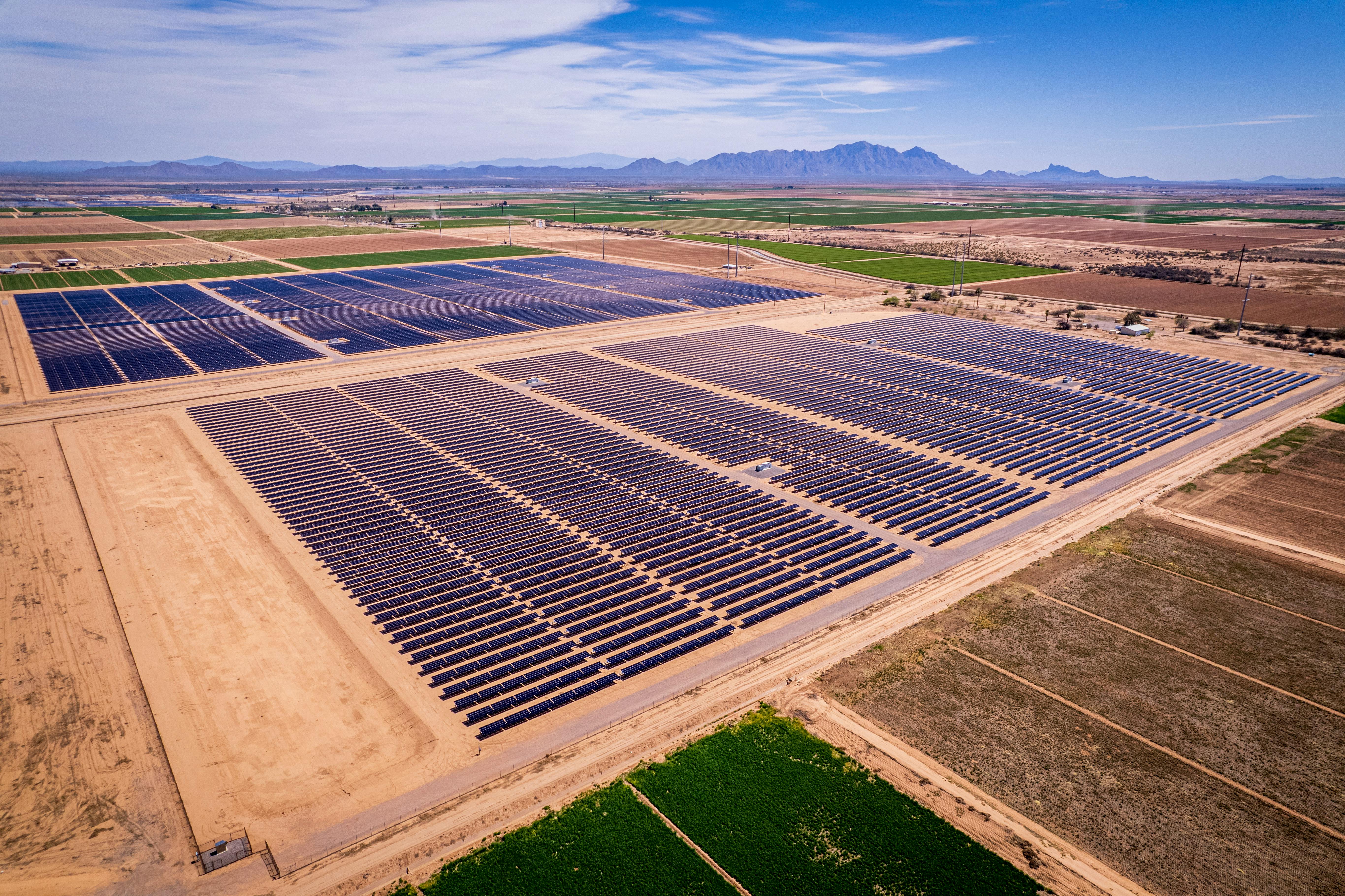 A large-scale solar farm business