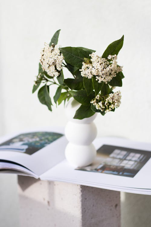 Flowers in a Vase