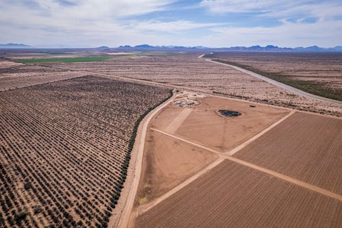 Foto d'estoc gratuïta de agricultura, camps, camps de cultiu