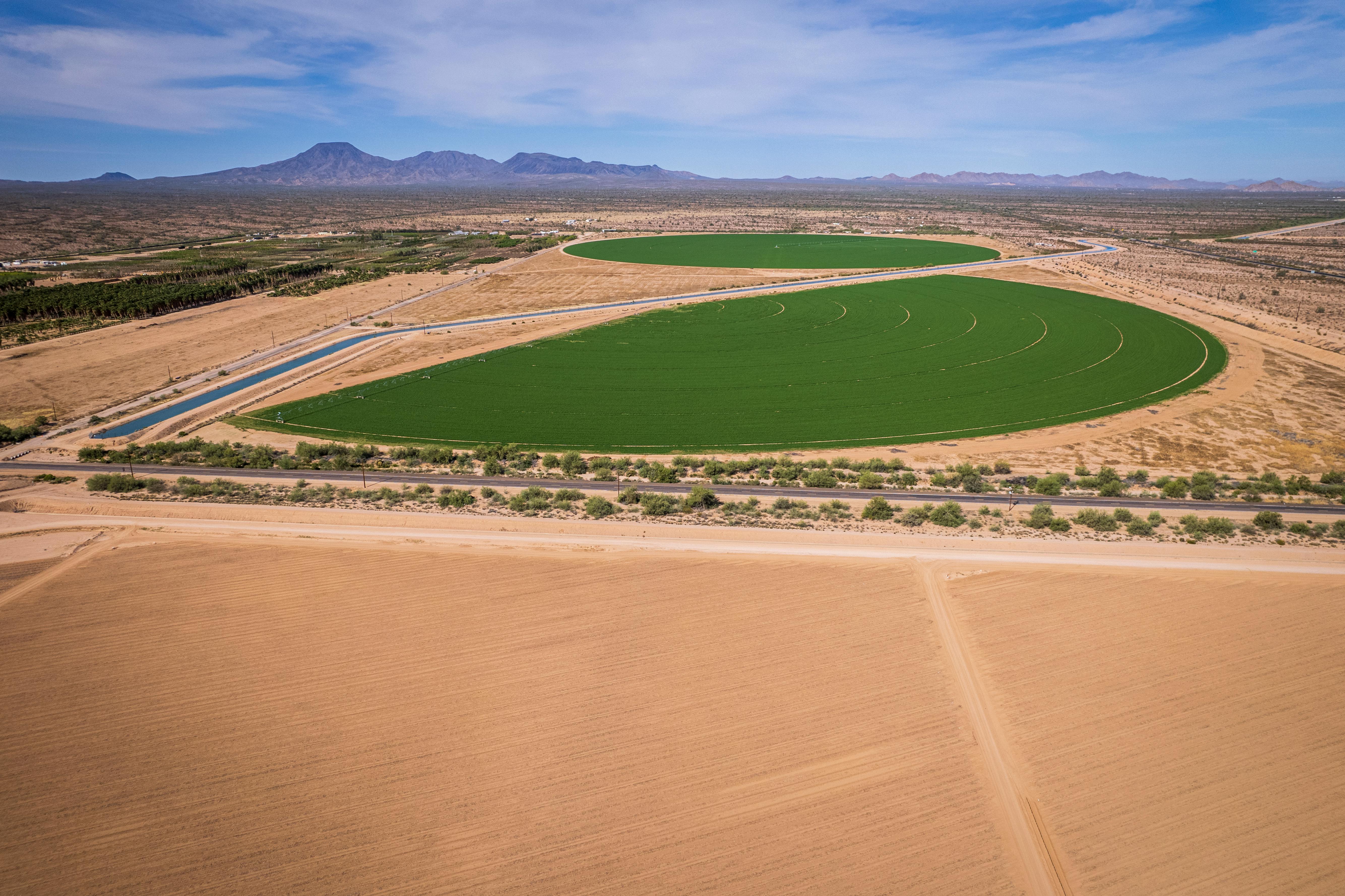 Aerial photograph of lush green circular fields amidst the arid landscape near Stanfield, Arizona.
