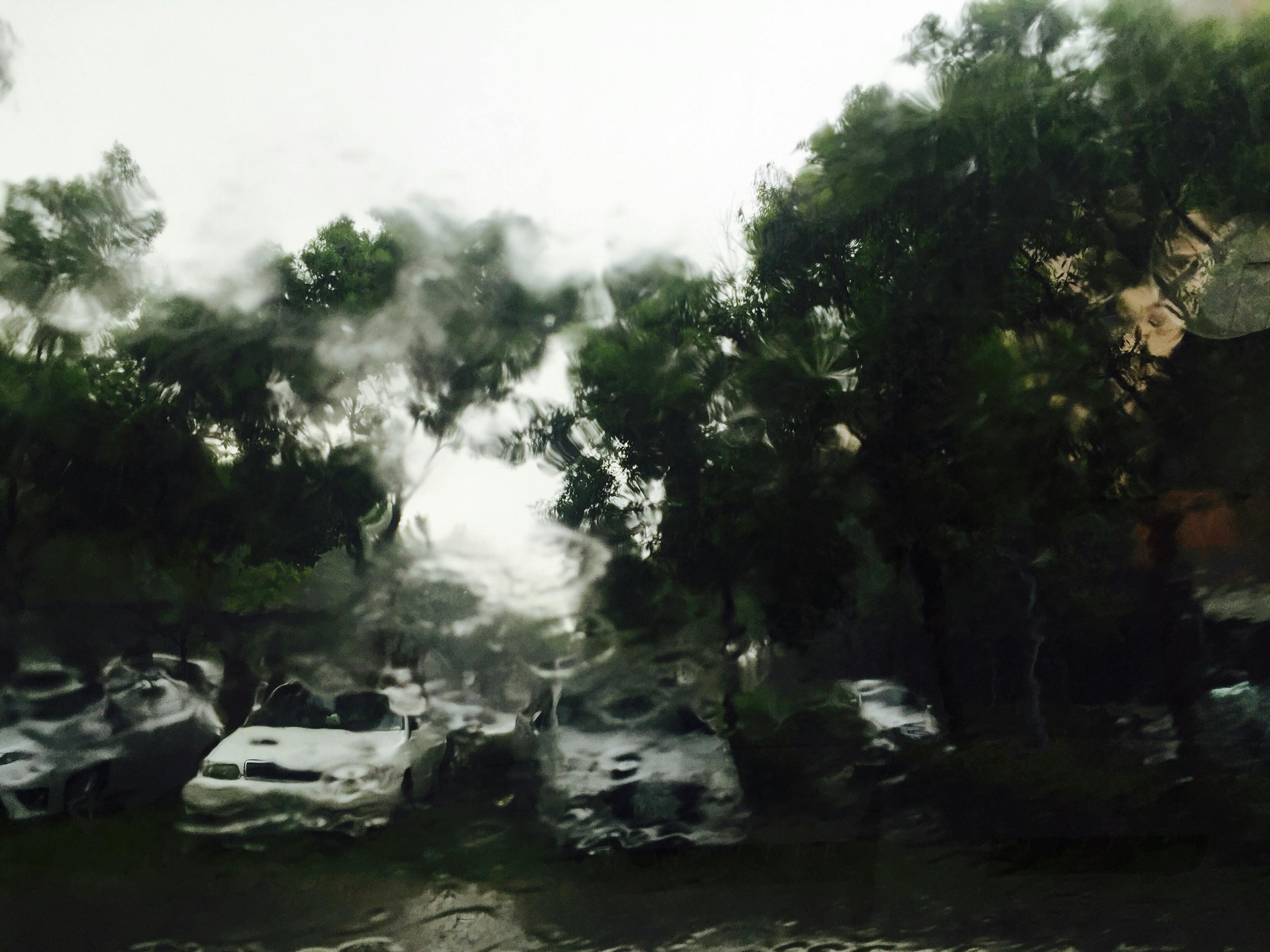 Free Stock Photo Of Raining
