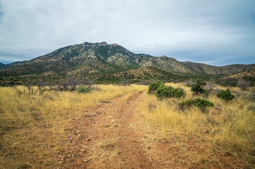 Unpaved Pathway to the Mountains