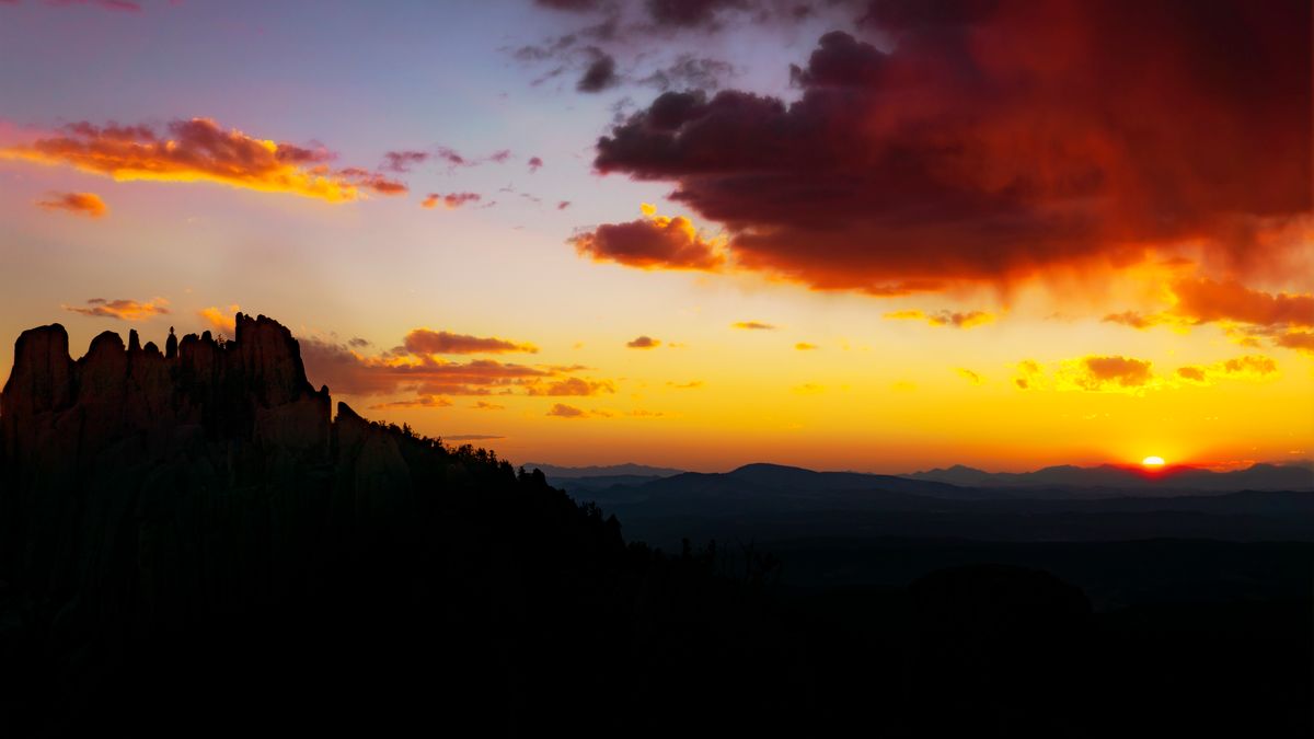 Top Colorado Springs, CO Birthday Freebies With No Purchase Necessary: Safe Entry Guide