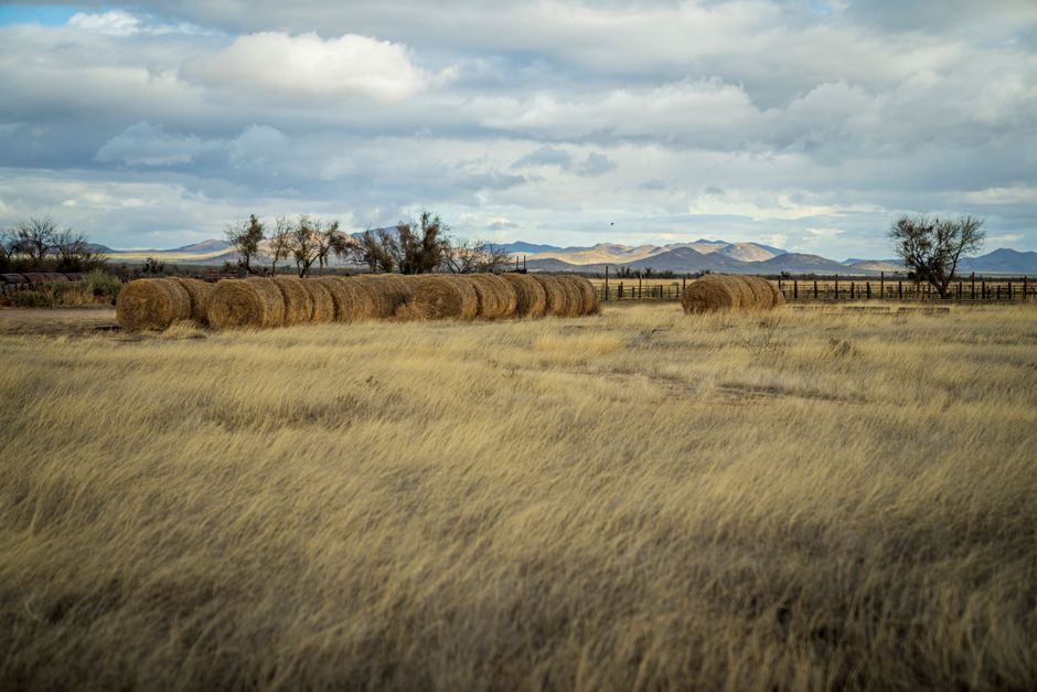 Scenic view of hay bales in a sunlit field with Tucson mountains in the background.