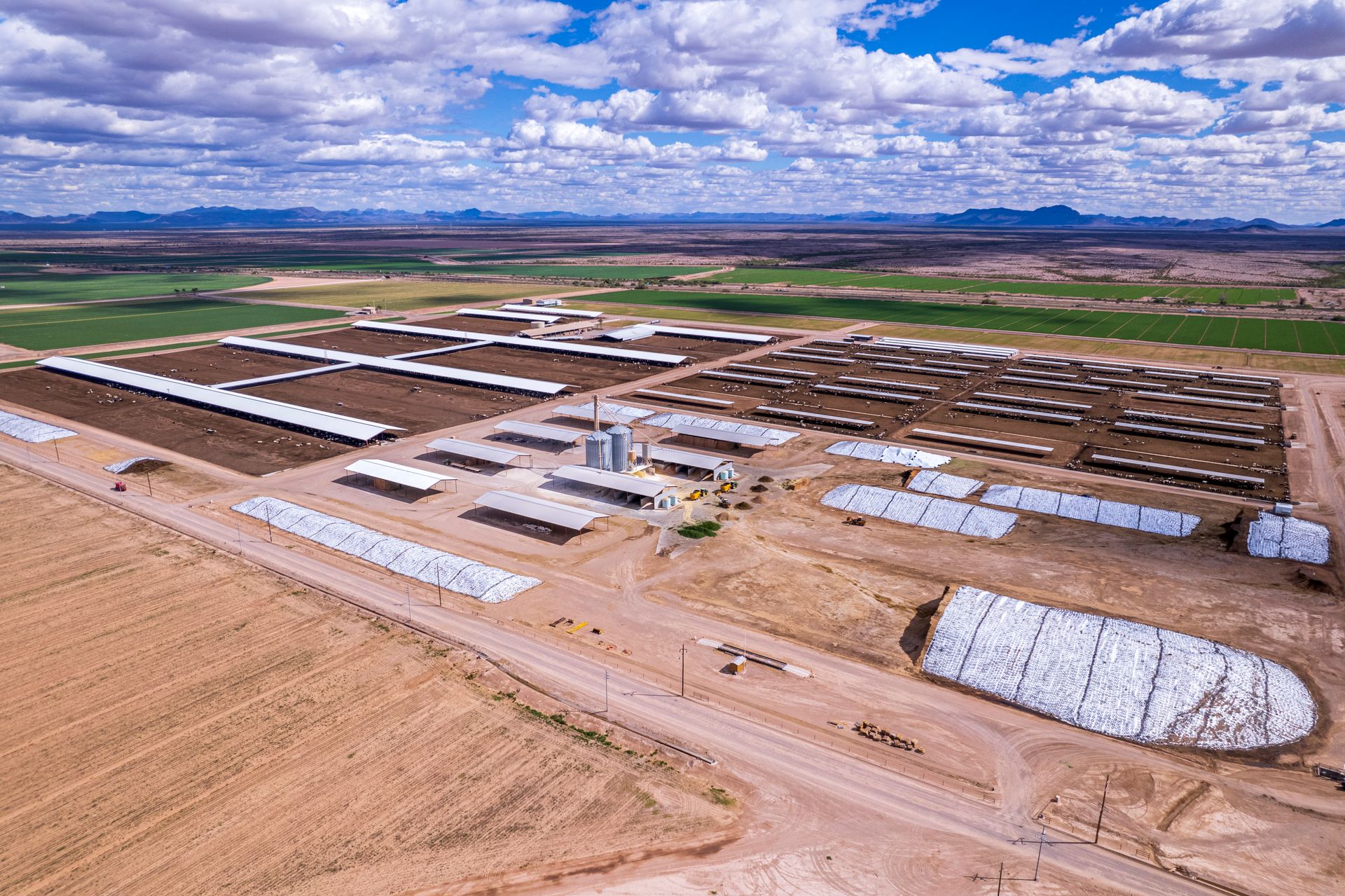 Aerial View of a Dairy Farm