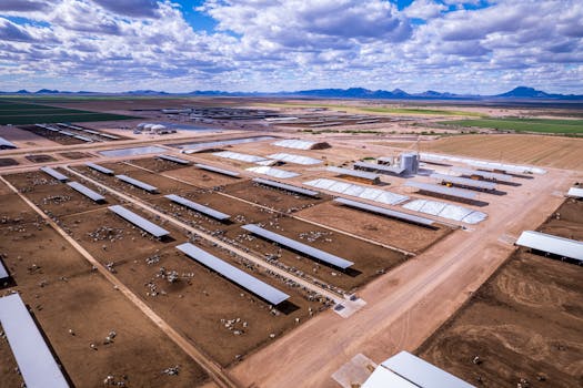 Expansive aerial view of cattle farm in Gila Bend, Arizona, highlighting agriculture and industry.