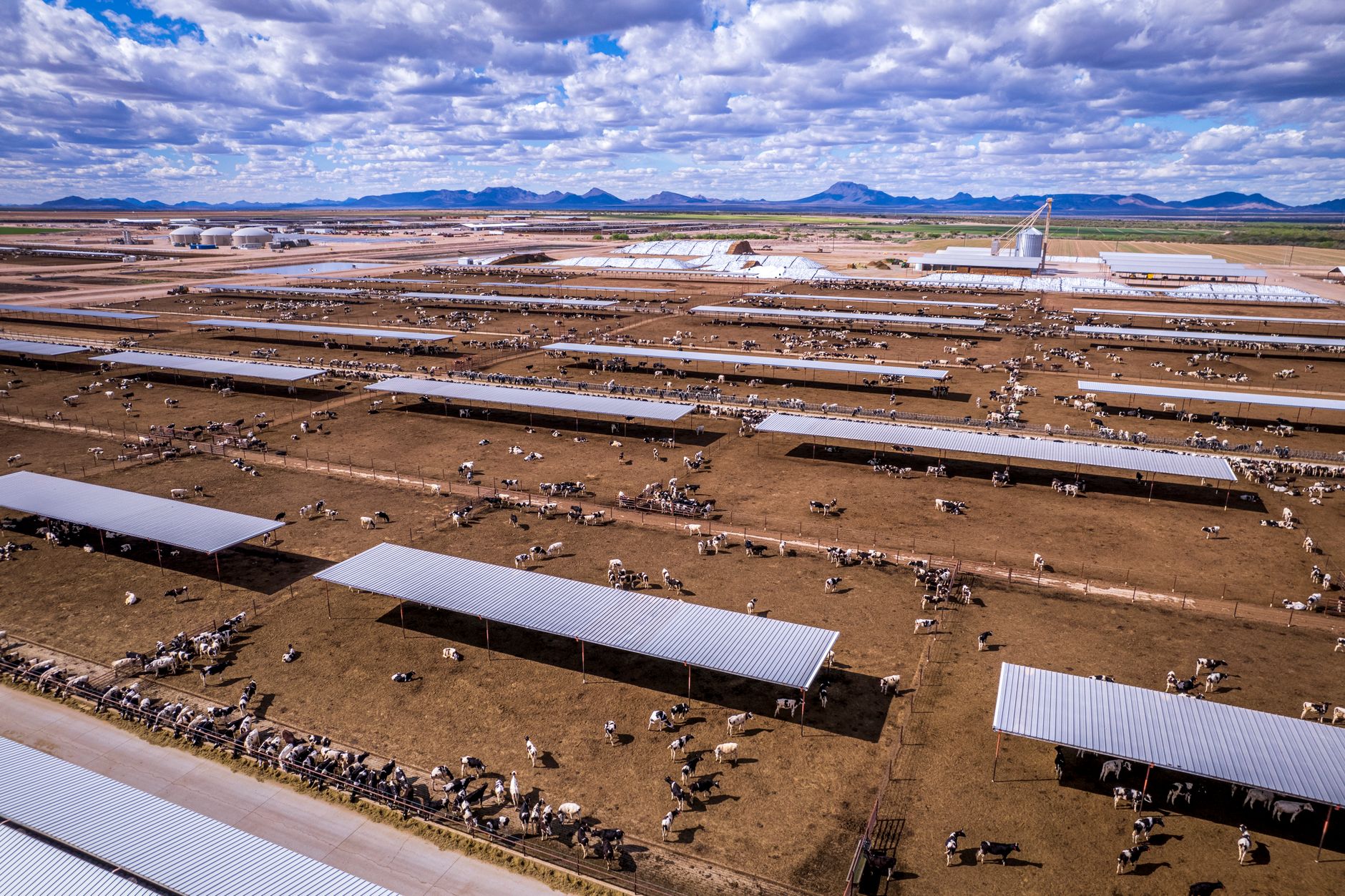 Arizona Rancher Fights Back + Canada's Tariff Pain: Sep 6 Briefing
