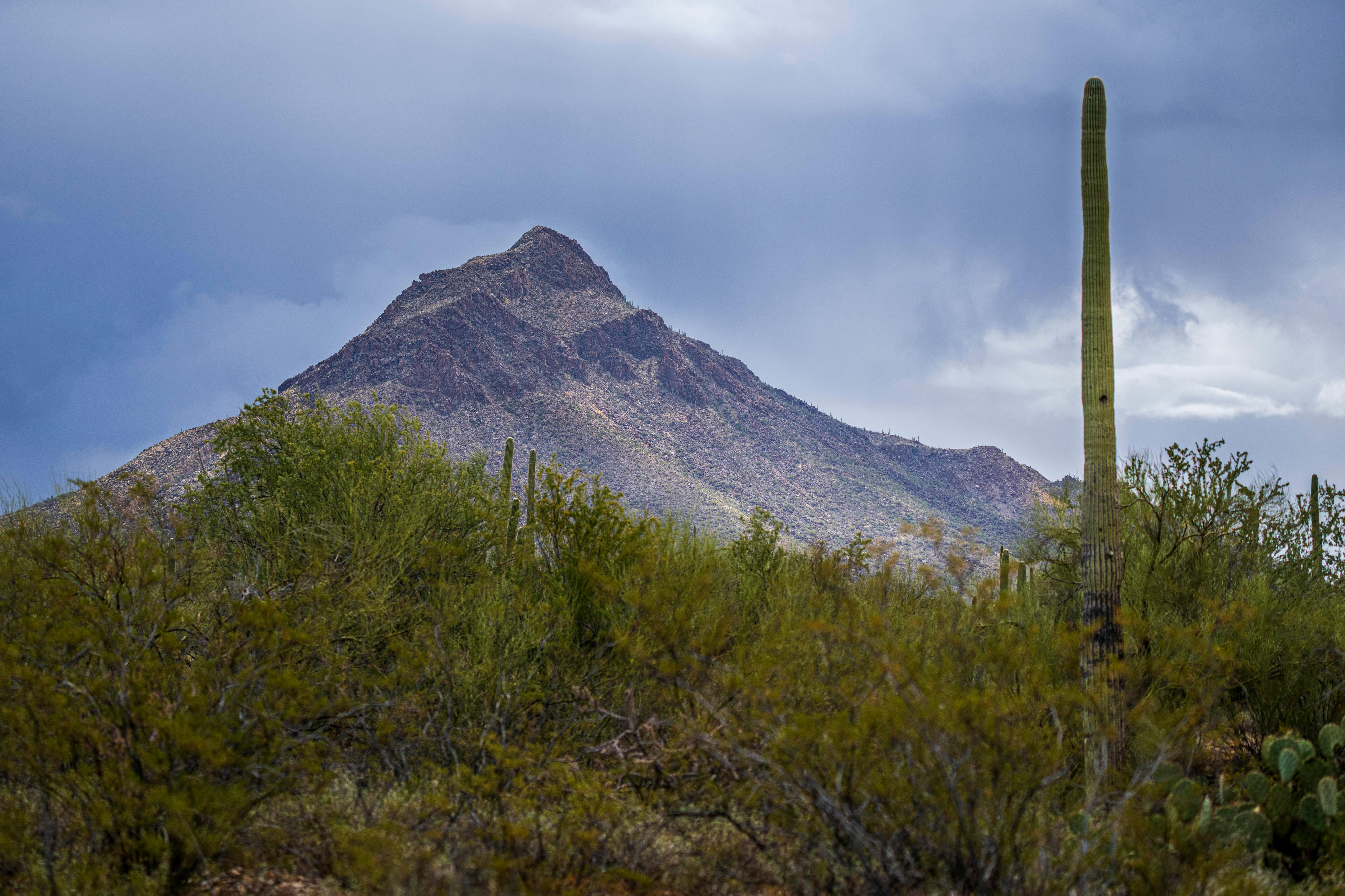 low angle shot of a mountain in saguaro national park