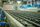 conveyor belt