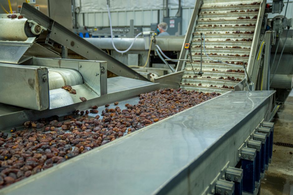 Sorting & quality line