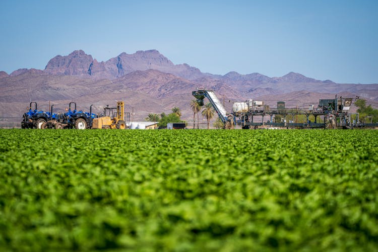 Field, Machinery And Mountains Landscape On Summer Day