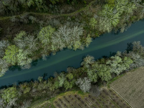Aerial Photography of a River