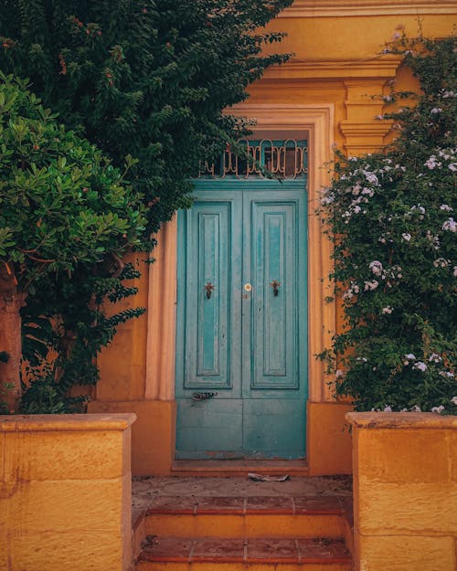 Blue Wooden Door With Green Plants