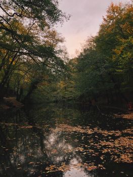 Image by Dilan Ceviz