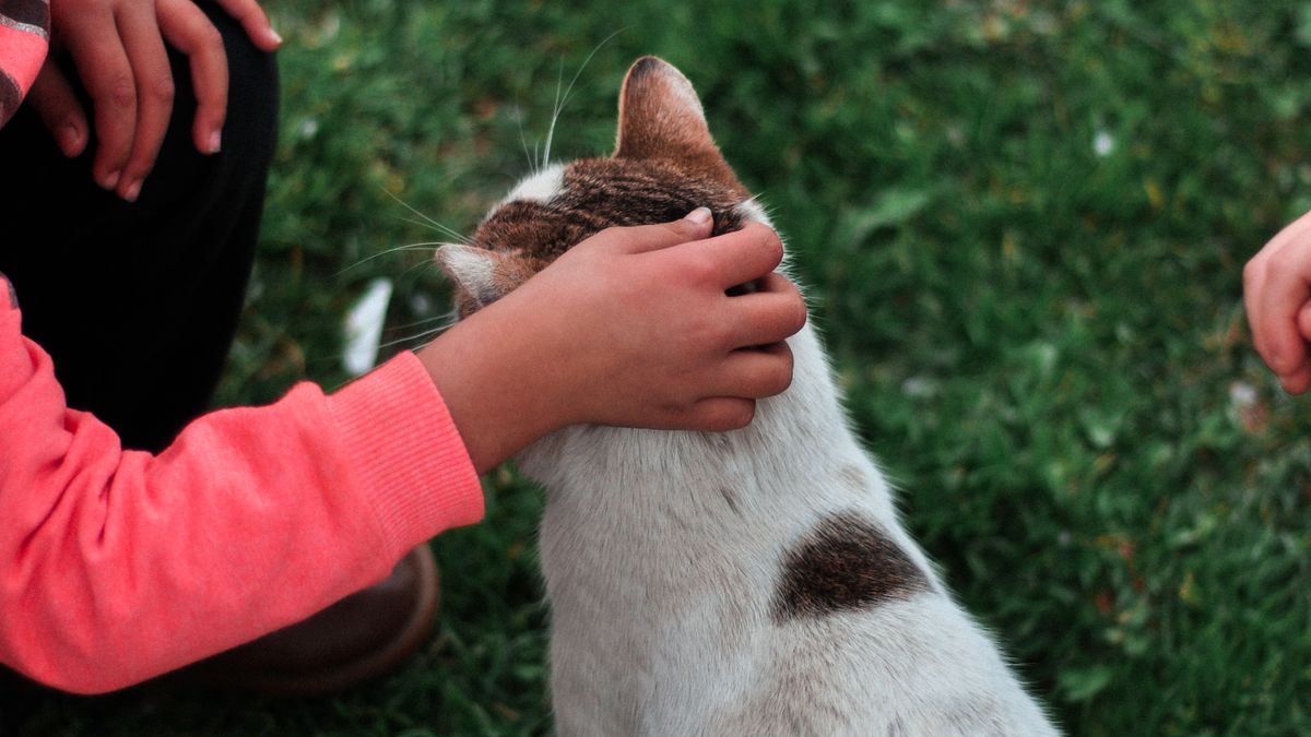 Bien-être animal et bonheur partagé