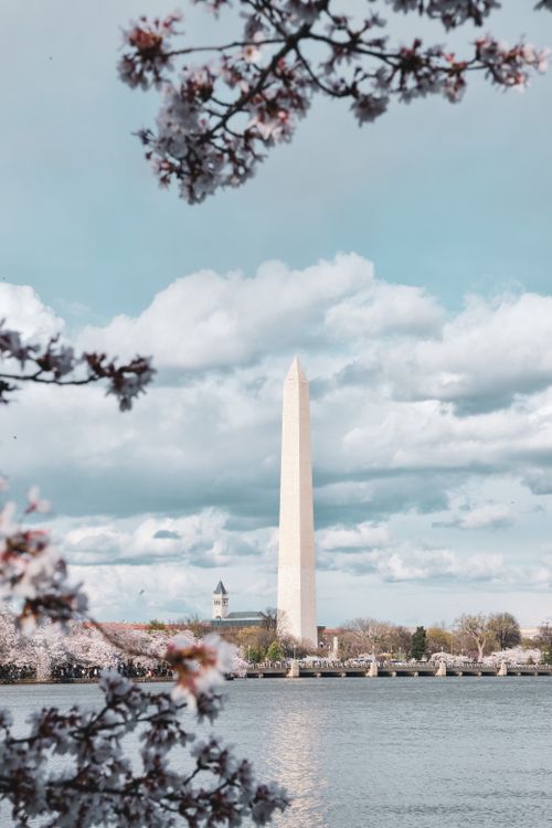Towering Washington Monument Under the Blue Sky · Free Stock Photo