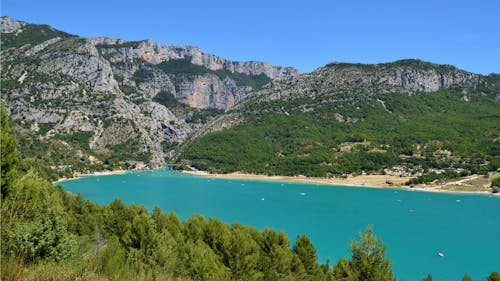 Photos gratuites de arbres, île, lac