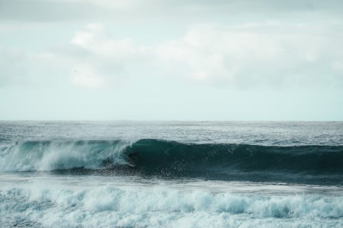 Gratis arkivbilde med bølger, hav, hvit himmel Arkivbilde