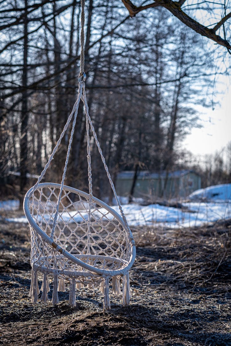 White Hammock Chair Hanging On The Tree