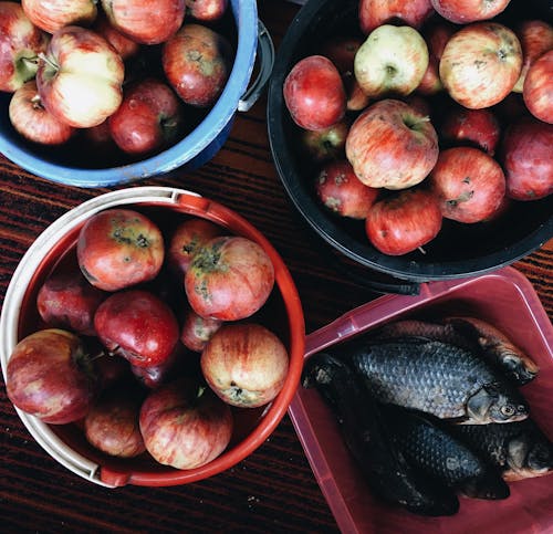 Kostnadsfri bild av äpplen, fiskar, frukt