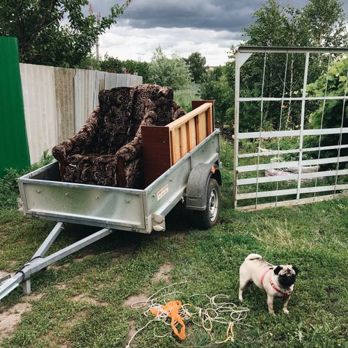 Free A rural setting with a trailer, vintage armchair, and a pug surrounded by greenery. Stock Photo